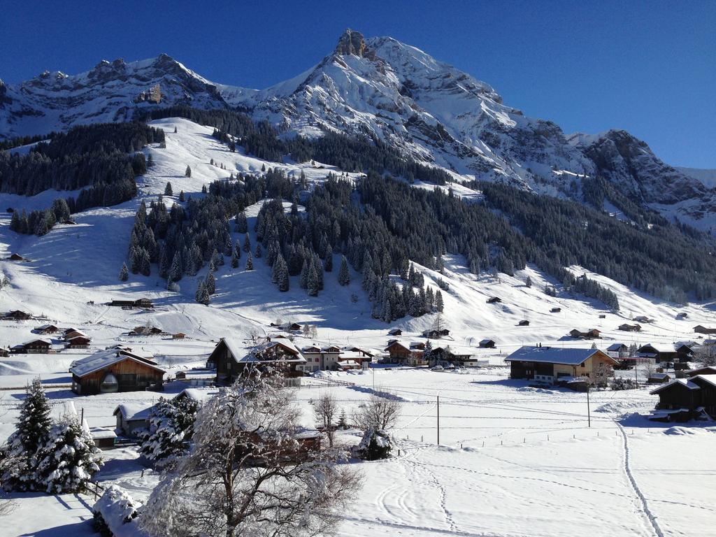 Chalet Butterfly Adelboden Habitación foto